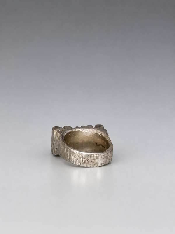 626D27B4-C9DC-405A-A53A-F51A5996F4BB 2 Ring