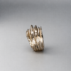 B0AA9EBF-F885-485B-8F5C-2E2636E865B9 2 Ring