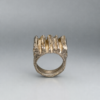 BC9A7F0A-7152-43E8-8EE8-1C0E4122669B 2 Ring