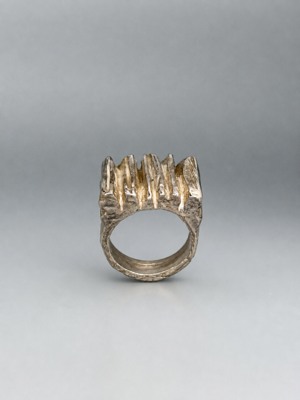 BC9A7F0A-7152-43E8-8EE8-1C0E4122669B 2 Ring