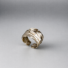 E53EA8D7-00F1-4E31-B637-C2D5293C70FD 2 Ring
