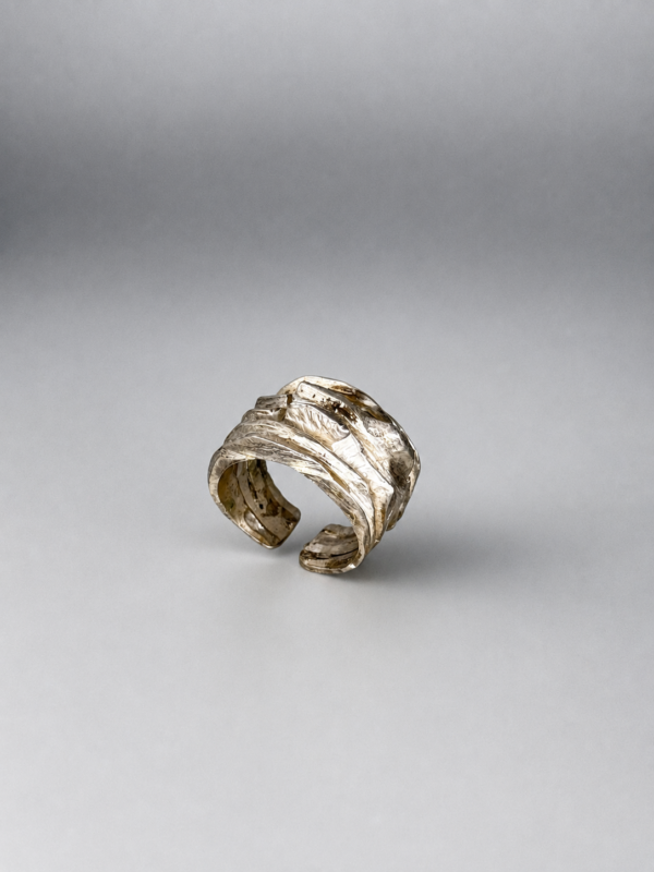 E53EA8D7-00F1-4E31-B637-C2D5293C70FD 2 Ring