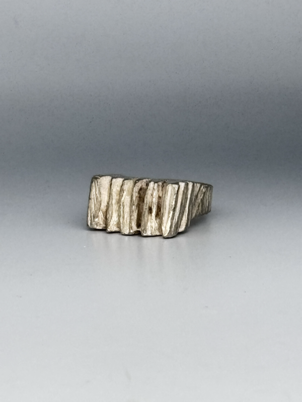 IMG_3295 Ring