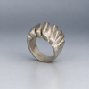 14C44232-C3D1-461F-9760-A2EAC59E8A0C 2 Ring