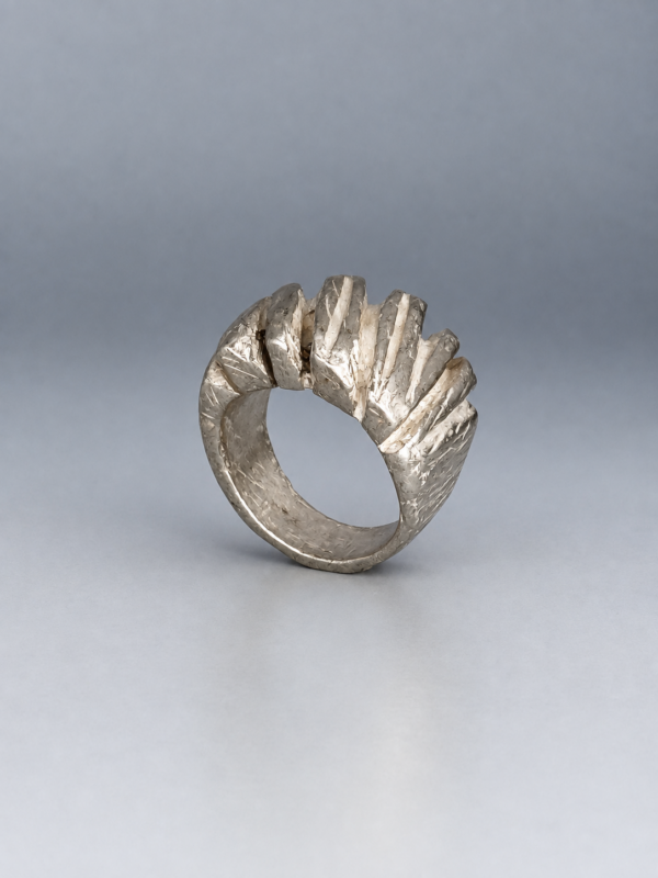 14C44232-C3D1-461F-9760-A2EAC59E8A0C 2 Ring