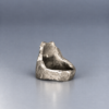96B19388-7395-4BA8-A4EA-2550AE1AEF29 2 Ring