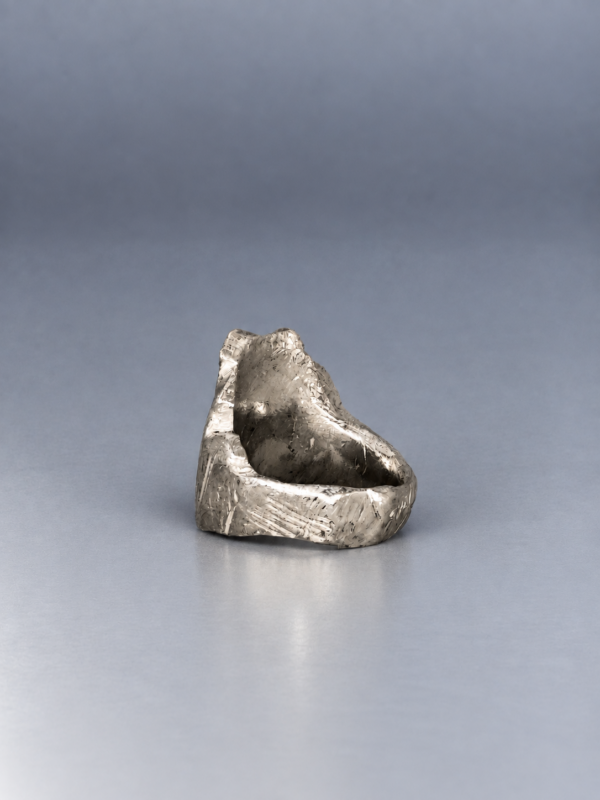 96B19388-7395-4BA8-A4EA-2550AE1AEF29 2 Ring