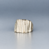 A4FF0DBC-C6A0-4C1F-B324-075B9DAEBDC0 2 Ring