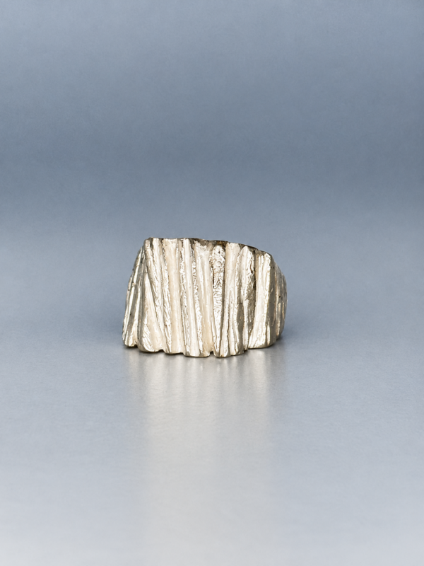 A4FF0DBC-C6A0-4C1F-B324-075B9DAEBDC0 2 Ring