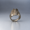 BE429DB3-53E0-4360-B9C0-ABAB765D4B6C 2 Ring