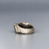 D2F6B286-0B56-48E3-B1ED-AC15372C4790 Ring