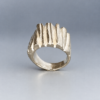 D88027FC-F330-4B22-9A03-7AE34B287BAA 2 Ring