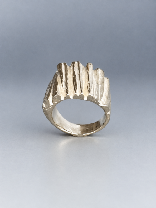 D88027FC-F330-4B22-9A03-7AE34B287BAA 2 Ring