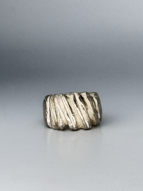 IMG_3335 copia Ring