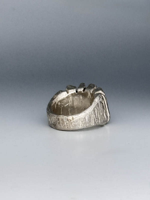IMG_3347 2 Ring
