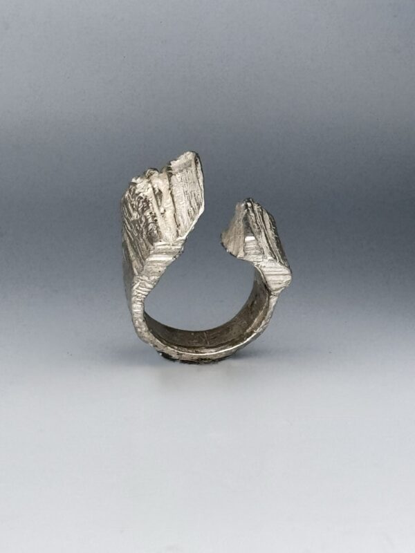 IMG_3357 copia Ring