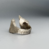 IMG_3377 Ring