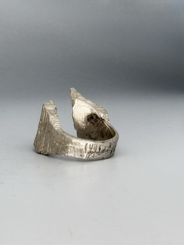 IMG_3377 Ring